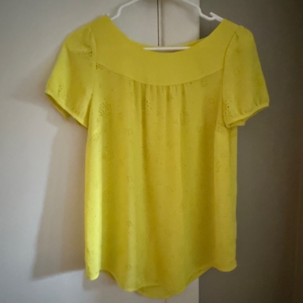 Anthropologie Vanessa Virginia Field Bloom Perforated Floral Flowy Blouse